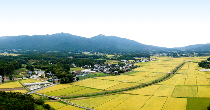 常陸の銘石 やさとみかげ